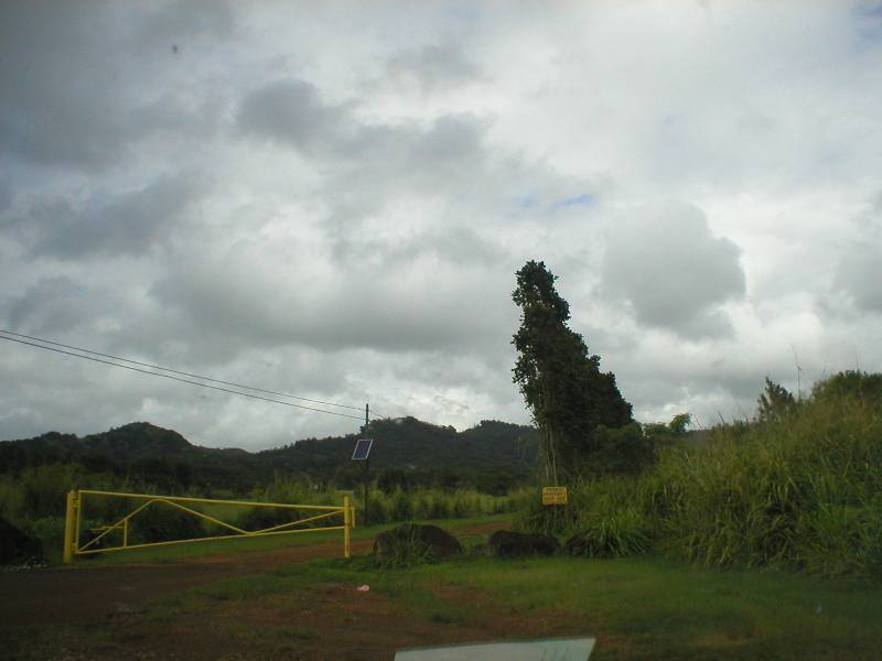 P1010059 