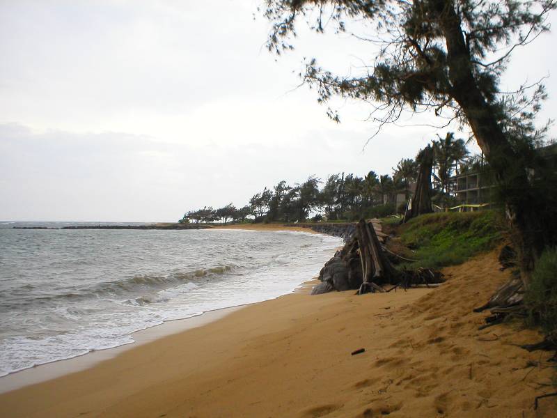 P1010092 