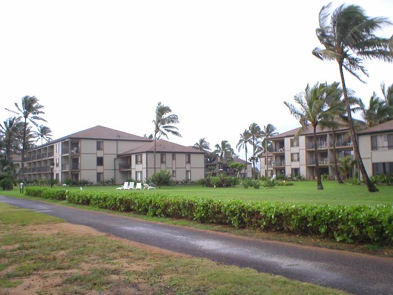P1010096 