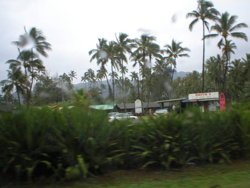 P1010137 