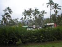 P1010137 